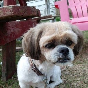 Meet your Posher, Conda